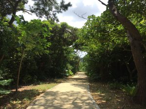 宮古島市熱帯植物園の道