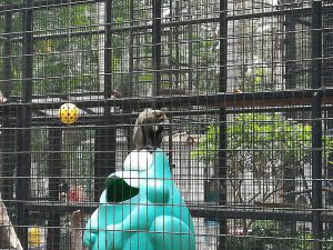 香港動植物公園9