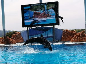 アドベンチャーワールド14