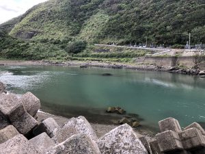 奄美大島の釣り旅行記【2019年4月】チヌの高ポイント