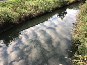 奄美大島の釣り旅行記【2019年4月】宇検村の川