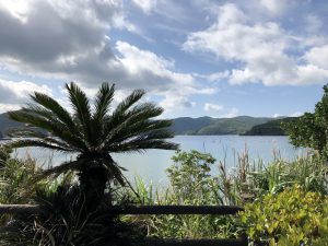 奄美大島の釣り旅行記【2019年4月】宇検村