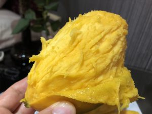 ベトナムのハノイ旅行記4日間の3〜4日目【2019年6月】の路上で買ったマンゴー