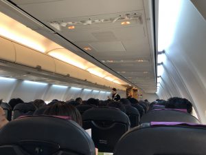 伊丹から奄美大島のJALの機内