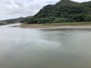 笠利のチヌのポイント