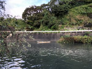 高知グルメ旅行記3日間【2019年10月】早朝のルアー釣り