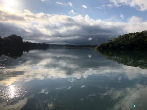 高知グルメ旅行記3日間【2019年10月】早朝のルアー釣り