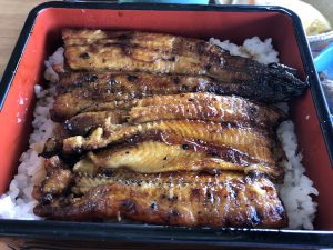 高知グルメ旅行記3日間【2019年10月】四万十屋のうなぎ