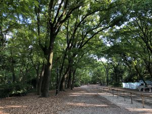 下鴨神社