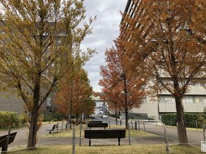 大阪から京都までの淀川サイクリングコース