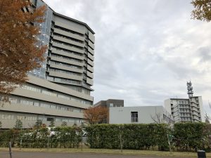 大阪から京都までの淀川サイクリングコース