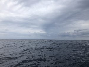 チヌ狙い奄美大島の釣り旅行記【2020年3月】の沖合