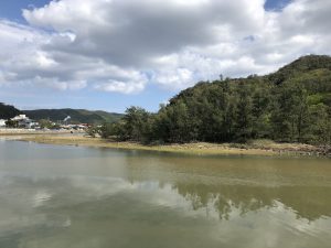 チヌ狙い奄美大島の釣り旅行記【2020年3月】の笠利