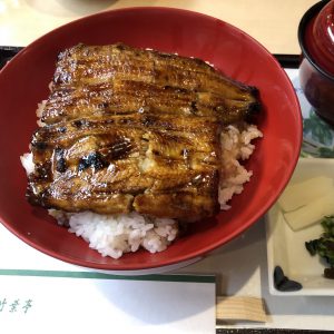 竹葉亭 新阪急ホテル店の鰻丼