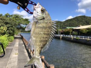 奄美大島の爆釣！釣り旅行記【2021年11月】